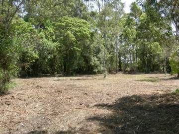 Img: 1