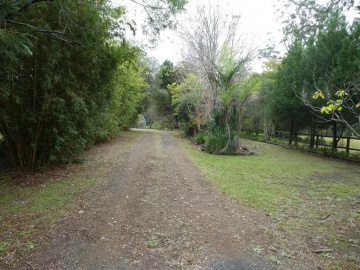 Img: 1