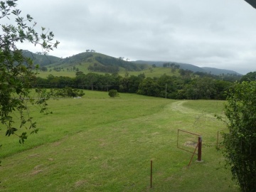 Img: 1