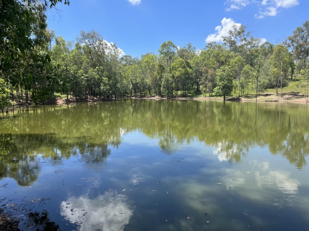38790 Bruce Highway, Kolonga, Kolonga - Thumbnail 5