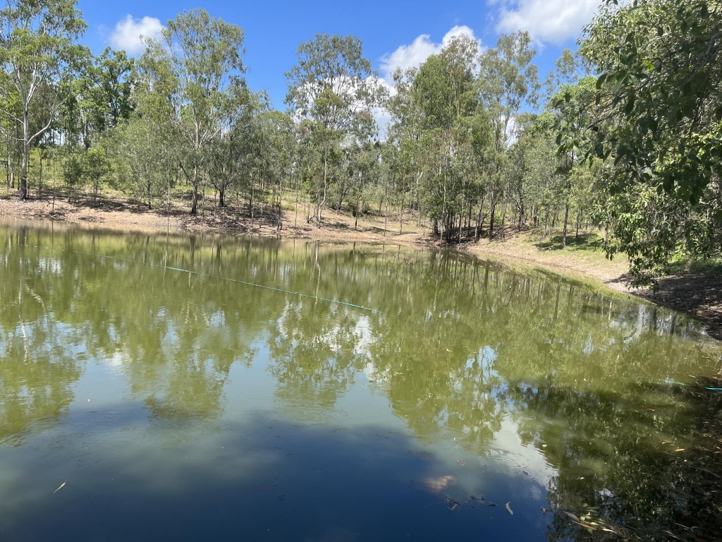 38790 Bruce Highway, Kolonga, Kolonga - Thumbnail 6