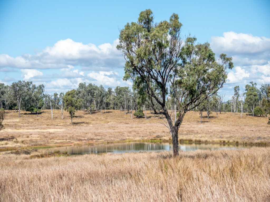 Lot 15 Benhams Road, Mundubbera, Mundubbera - Thumbnail 6