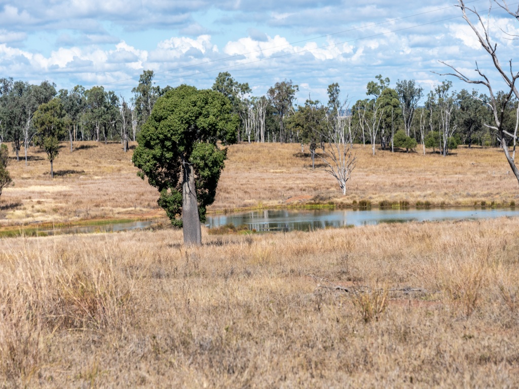 Lot 15 Benhams Road, Mundubbera, Mundubbera - Thumbnail 7