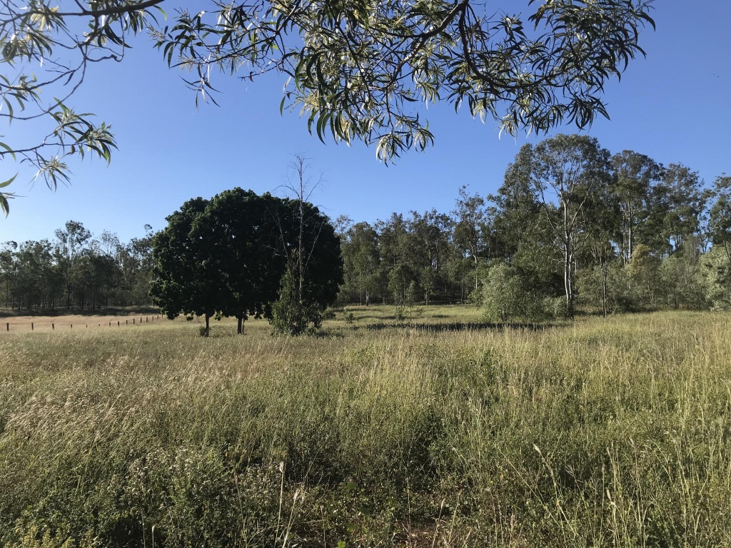 Lot 12 Lirema Court, Delan, Delan - Thumbnail 6