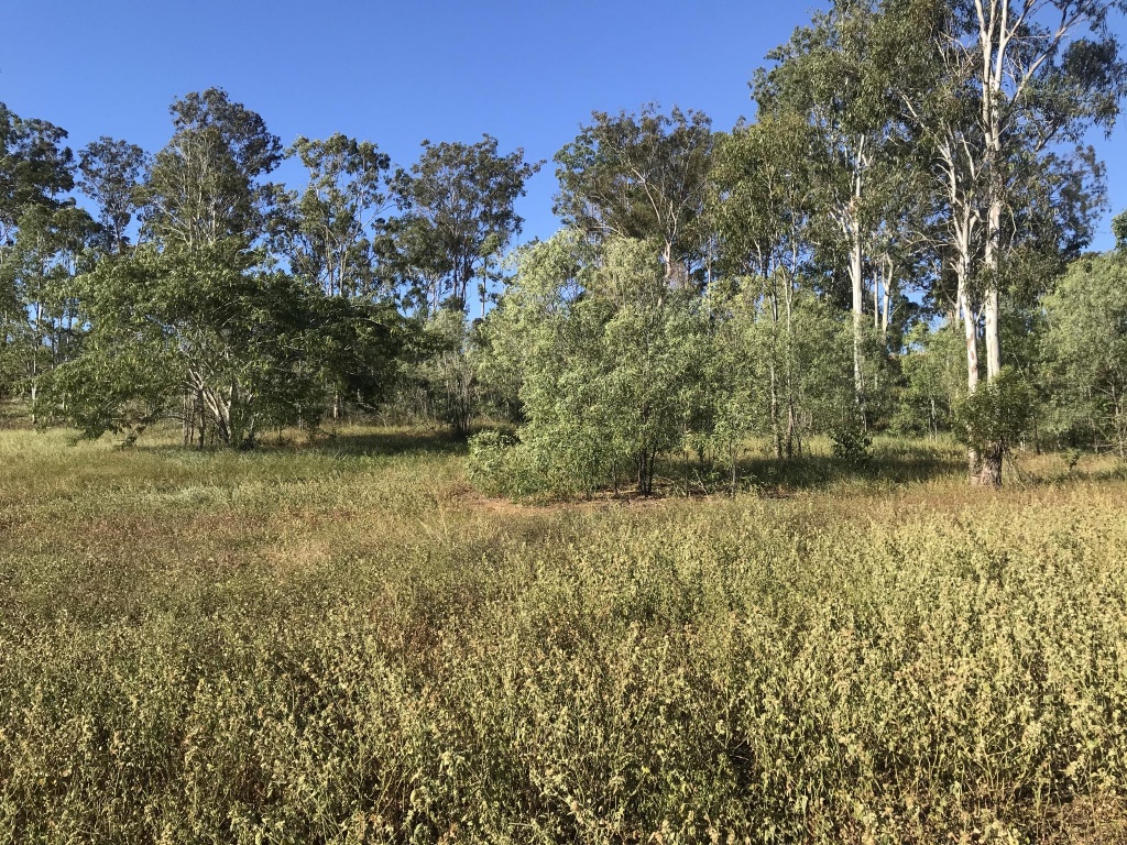 Lot 12 Lirema Court, Delan, Delan - Thumbnail 7