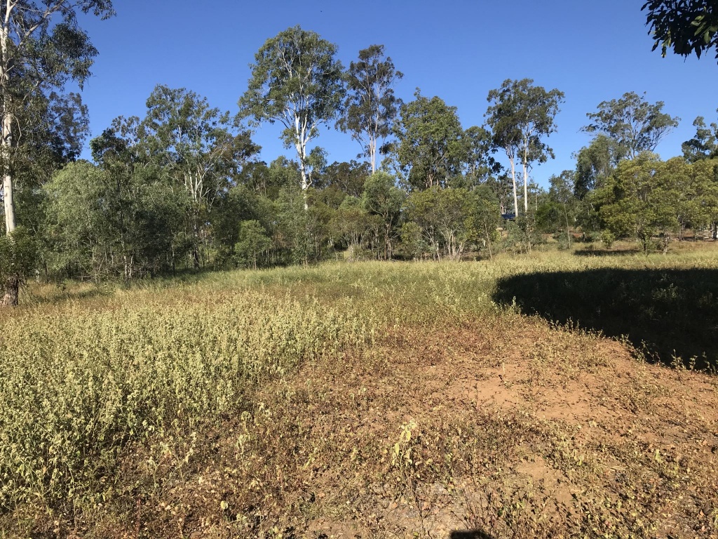 Lot 12 Lirema Court, Delan, Delan - Thumbnail 8